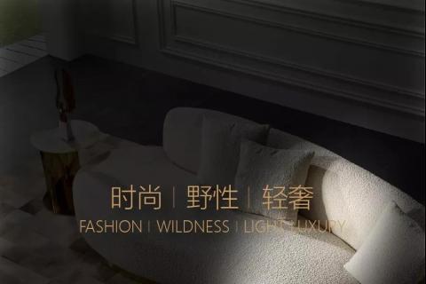 黛柏睿D'ARTE | 初戰(zhàn)告捷 未來(lái)可期